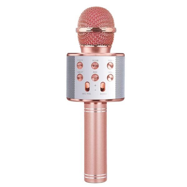 Microfon karaoke cu baterii - imagine 4