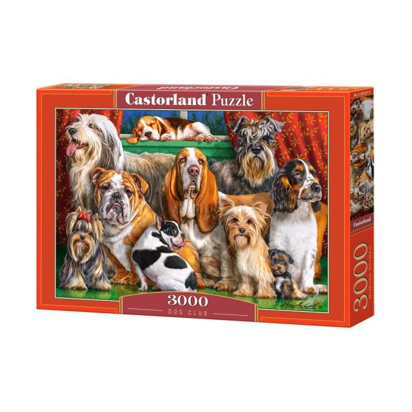 Puzzle 3000 Pcs - Castorland - imagine 15