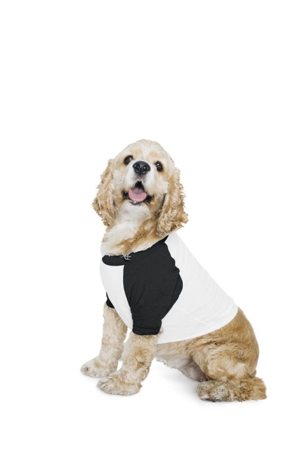 Model AABB953 American Apparel