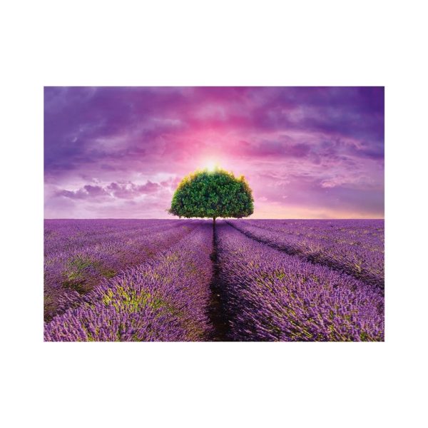 Puzzle 2000 piese, Camp cu lavanda - DINO TOYS - imagine 4
