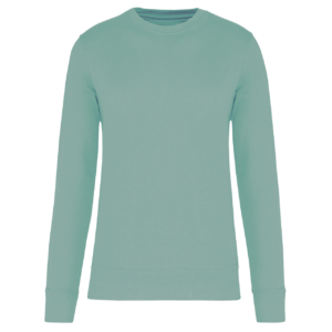Model KIDS' ECO-FRIENDLY CREW NECK SWEATSHIRT KA4026