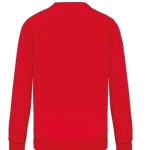 Model POLYESTER SWEATSHIRT PA373